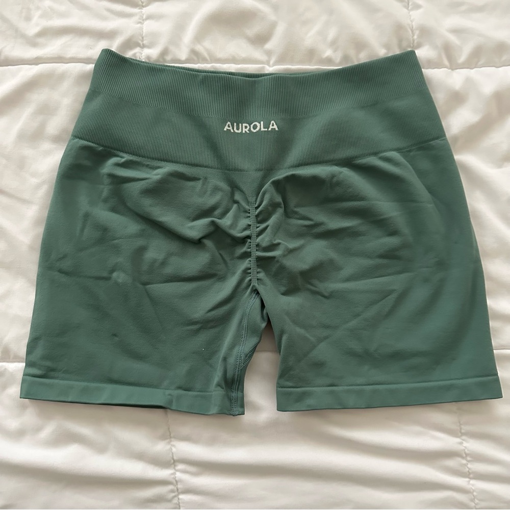 Aurola Dream Collection Gym Shorts Sagebrush Green Large